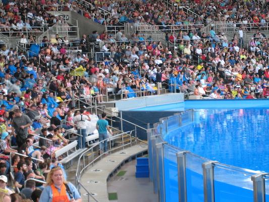 IMG_0348 (02-16-2015 14:58)