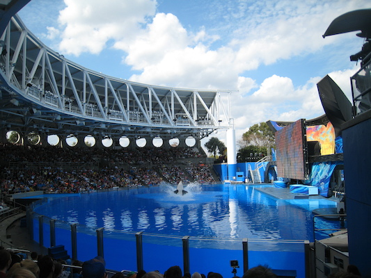 IMG_0349 (02-16-2015 15:04)