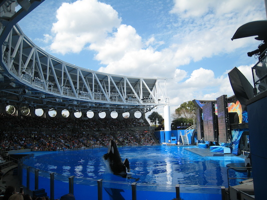 IMG_0350 (02-16-2015 15:04)