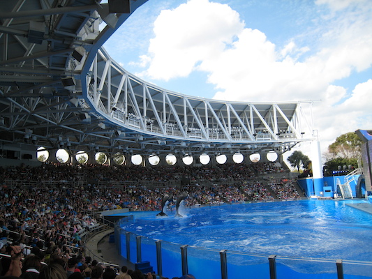 IMG_0351 (02-16-2015 15:04)