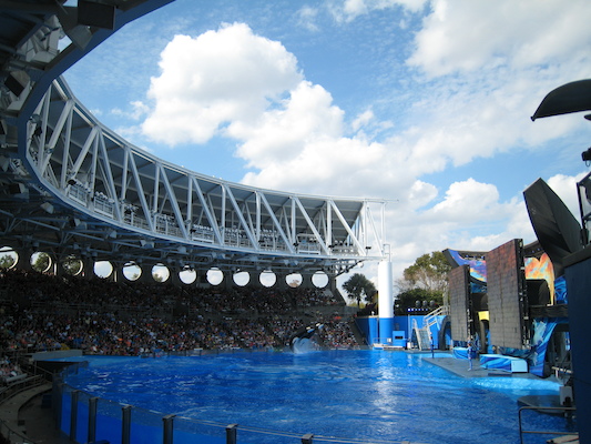 IMG_0352 (02-16-2015 15:05)