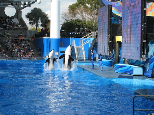 IMG_0353 (02-16-2015 15:05)