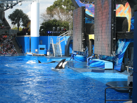 IMG_0354 (02-16-2015 15:05)