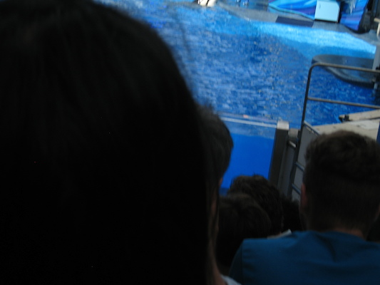 IMG_0355 (02-16-2015 15:05)