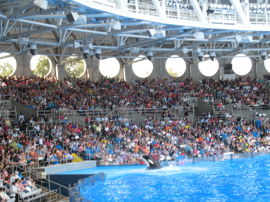 IMG_0356 (02-16-2015 15:05)