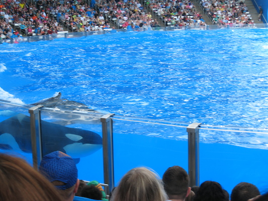 IMG_0357 (02-16-2015 15:05)