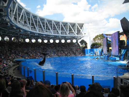 IMG_0358 (02-16-2015 15:06)