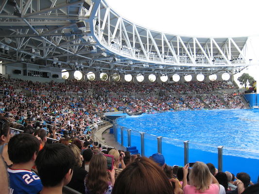 IMG_0359 (02-16-2015 15:06)