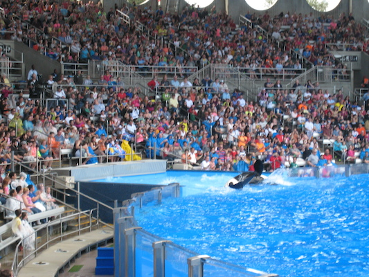 IMG_0360 (02-16-2015 15:06)