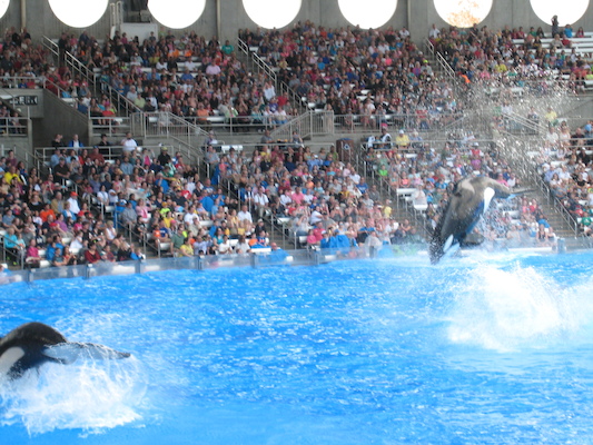 IMG_0361 (02-16-2015 15:07)