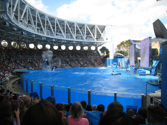 IMG_0362 (02-16-2015 15:07)