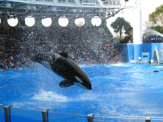 IMG_0363 (02-16-2015 15:07)