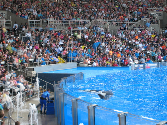 IMG_0364 (02-16-2015 15:08)