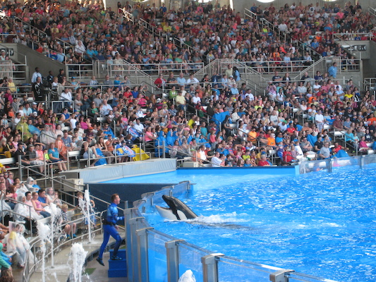 IMG_0365 (02-16-2015 15:08)