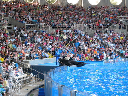 IMG_0366 (02-16-2015 15:09)