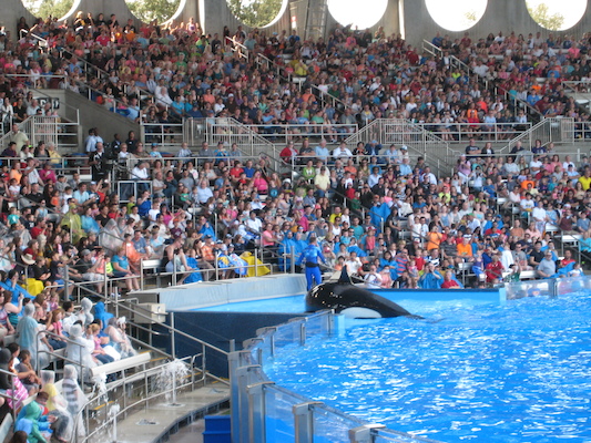 IMG_0367 (02-16-2015 15:09)