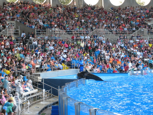 IMG_0368 (02-16-2015 15:09)