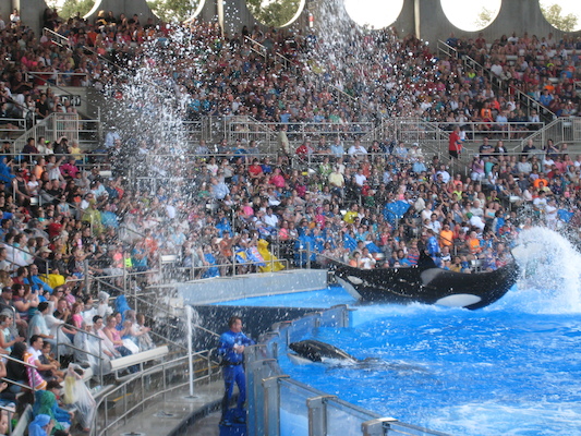 IMG_0370 (02-16-2015 15:11)