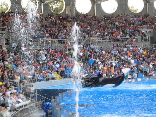 IMG_0371 (02-16-2015 15:11)