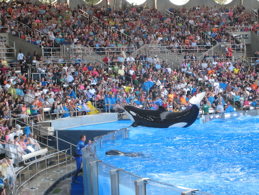 IMG_0372 (02-16-2015 15:11)