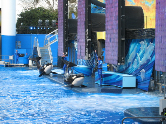 IMG_0373 (02-16-2015 15:11)