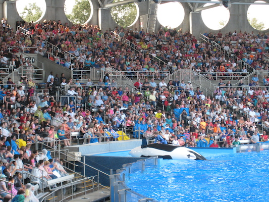 IMG_0374 (02-16-2015 15:13)