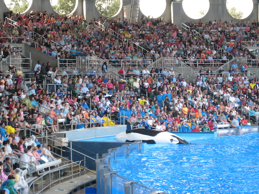 IMG_0375 (02-16-2015 15:13)