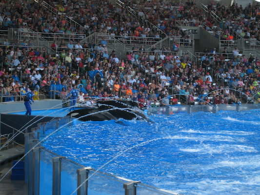 IMG_0376 (02-16-2015 15:16)