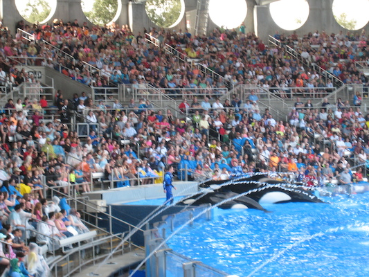 IMG_0377 (02-16-2015 15:16)