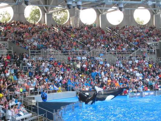 IMG_0378 (02-16-2015 15:16)