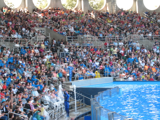 IMG_0379 (02-16-2015 15:18)