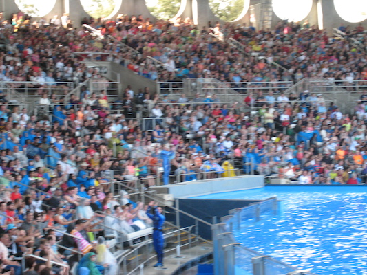 IMG_0380 (02-16-2015 15:18)