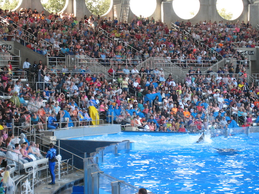 IMG_0381 (02-16-2015 15:19)