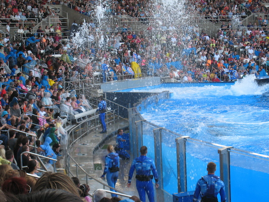 IMG_0382 (02-16-2015 15:20)