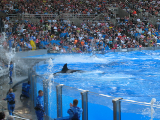 IMG_0383 (02-16-2015 15:20)