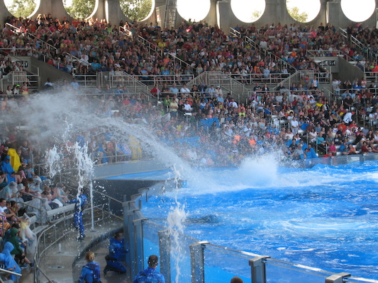 IMG_0384 (02-16-2015 15:20)