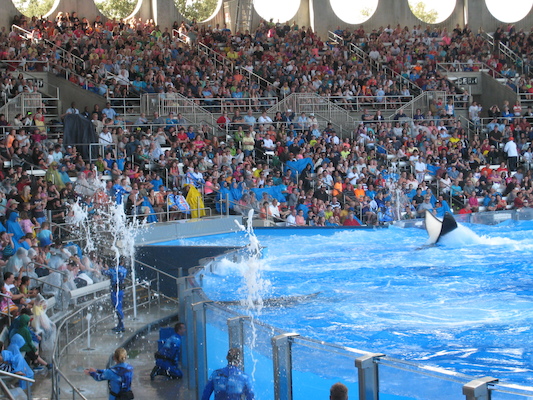 IMG_0385 (02-16-2015 15:20)