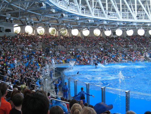 IMG_0386 (02-16-2015 15:20)