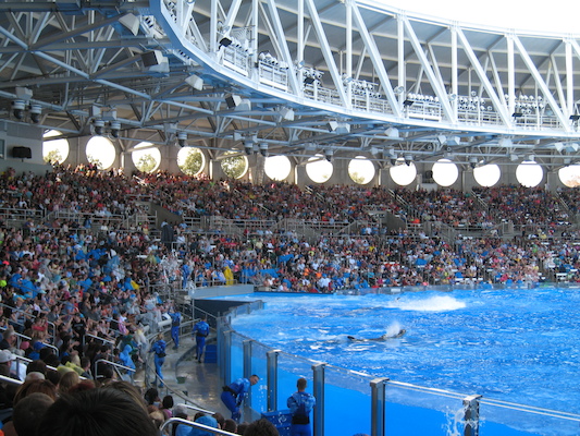 IMG_0387 (02-16-2015 15:20)