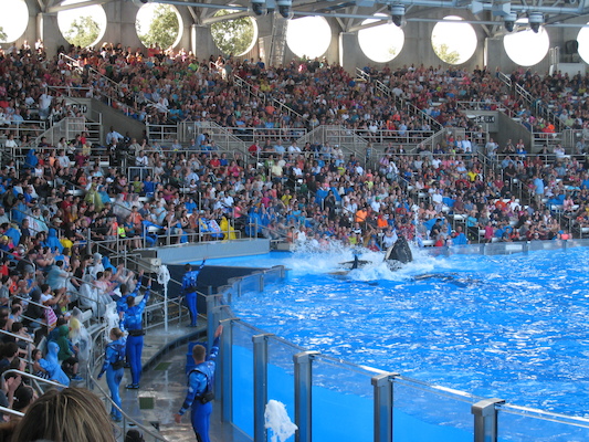 IMG_0388 (02-16-2015 15:22)