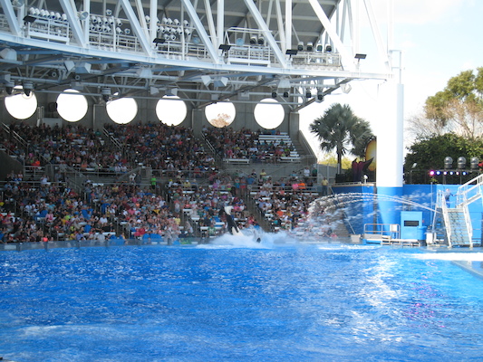 IMG_0389 (02-16-2015 15:23)