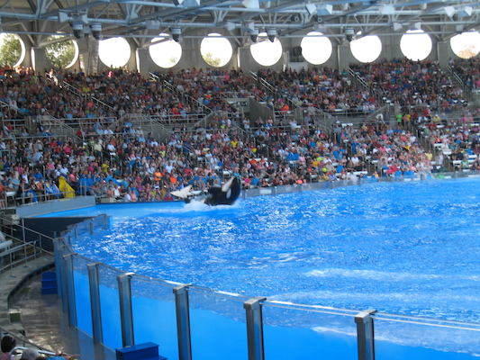 IMG_0390 (02-16-2015 15:24)