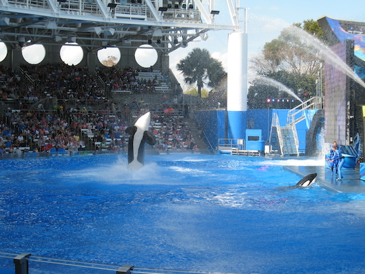 IMG_0391 (02-16-2015 15:24)