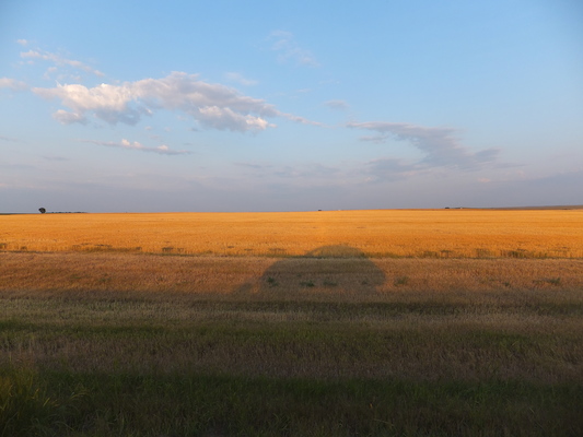 DSCF9356 (08-15-2014 02:24)