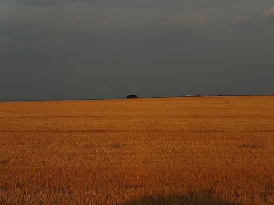 DSCF9357 (08-15-2014 02:24)