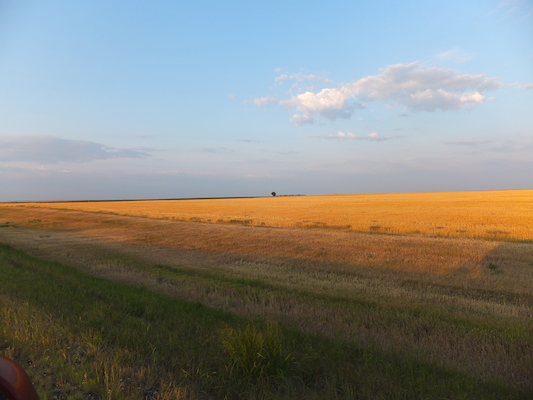 DSCF9358 (08-15-2014 02:24)