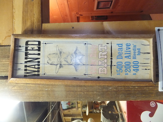 DSCF9372 (08-15-2014 16:41)