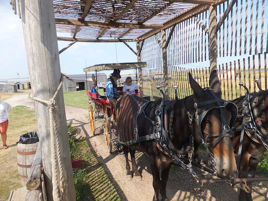 DSCF9400 (08-15-2014 17:16)