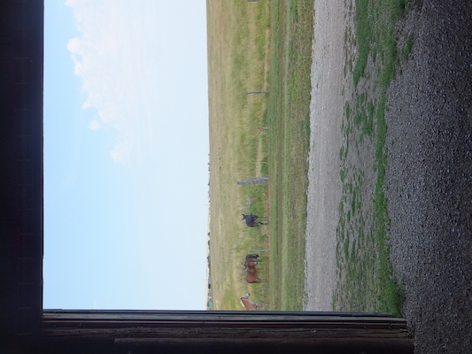 DSCF9407 (08-15-2014 17:32)