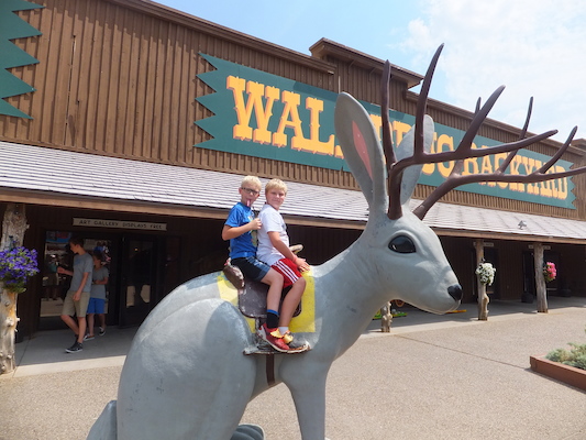 DSCF9434 (08-15-2014 20:55)